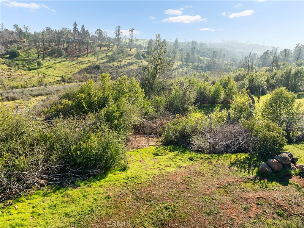 774 Kinsey Way Paradise, CA 95969 - Photo 13 of 15 a view of outdoor space and yard