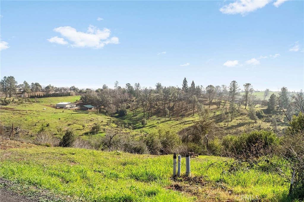 774 Kinsey Way Paradise, CA 95969 - Photo 15 of 15 a view of a city with lush green forest
