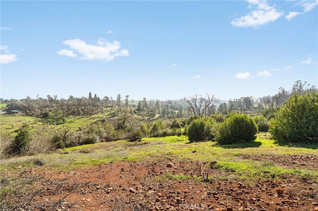 774 Kinsey Way Paradise, CA 95969 - Photo 5 of 15 a view of a yard with an outdoor space