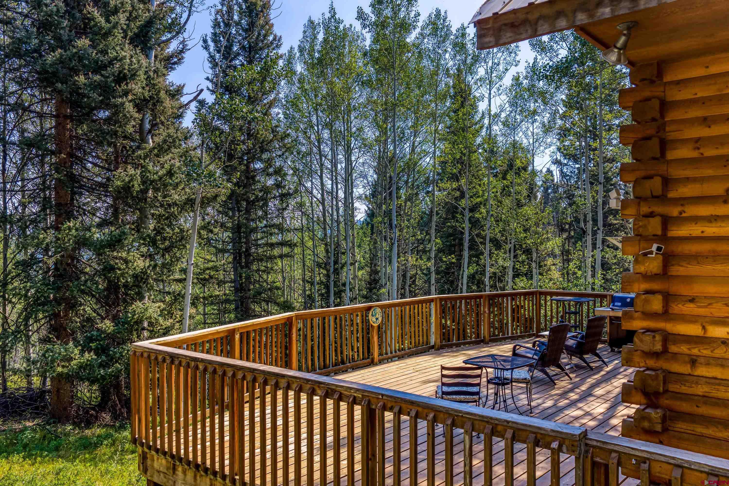 201 Lake Road Cimarron, CO 81220 - Photo 23 of 42