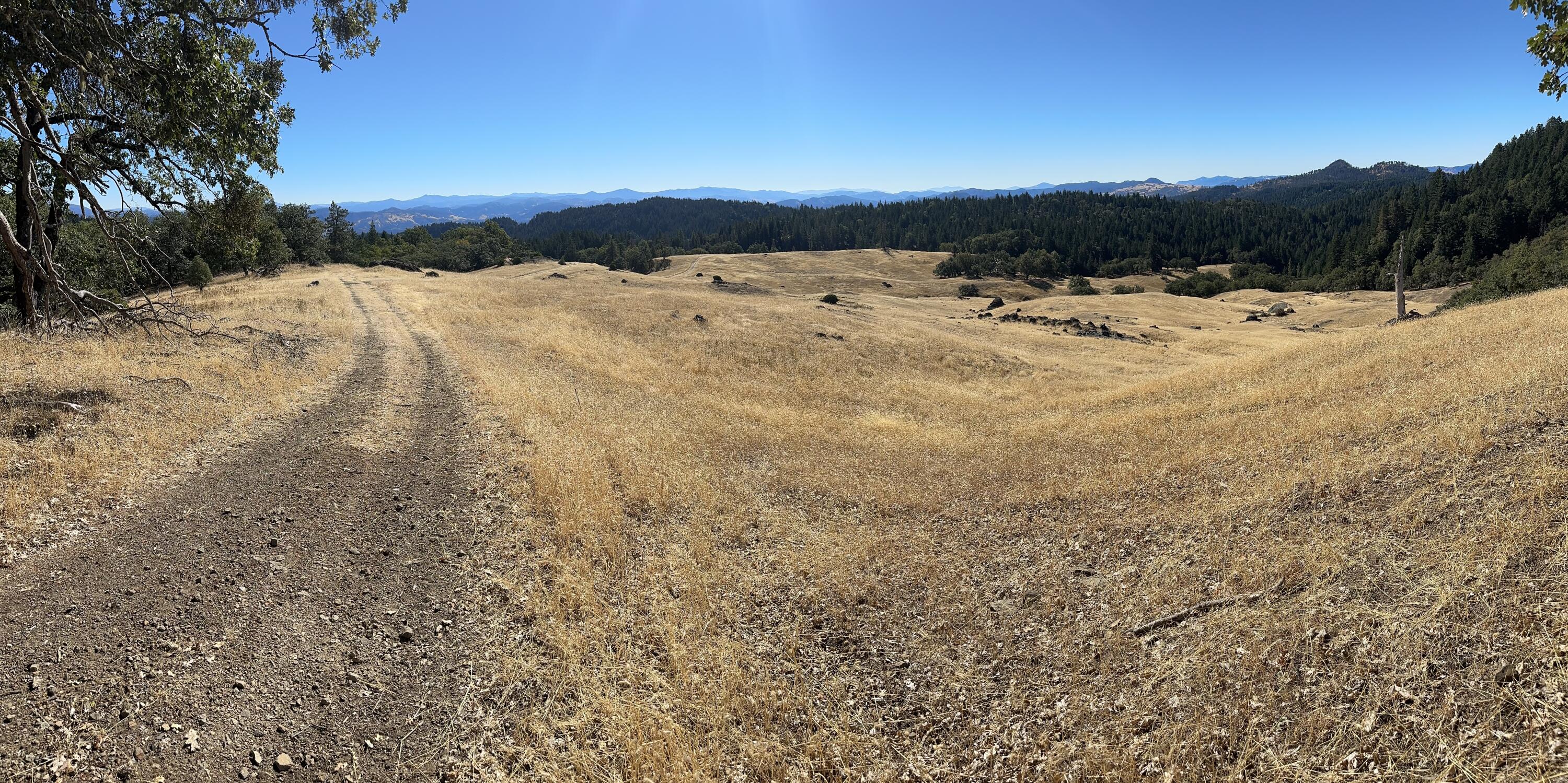 751 Lassic's Lookout Road Zenia, CA 95595 - Photo 18 of 29
