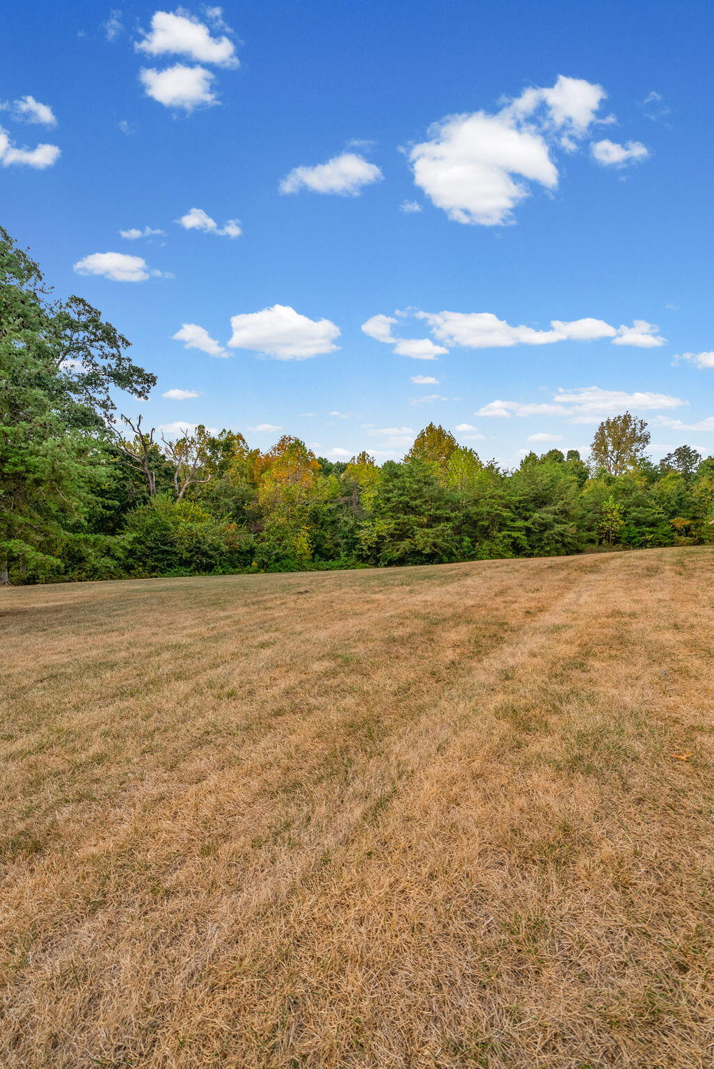 1168 Empire Road Crofton, KY 42217 - Photo 88 of 102 88-web-or-mls-1168-empire-rd