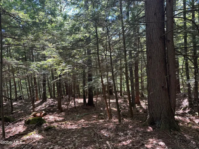 $495,000 | 74 Ticonderoga Ny 12883, Schroon Lake, NY 12870