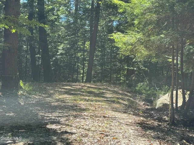 $495,000 | 74 Ticonderoga Ny 12883, Schroon Lake, NY 12870