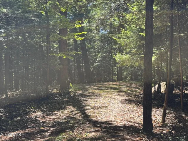 $495,000 | 74 Ticonderoga Ny 12883, Schroon Lake, NY 12870