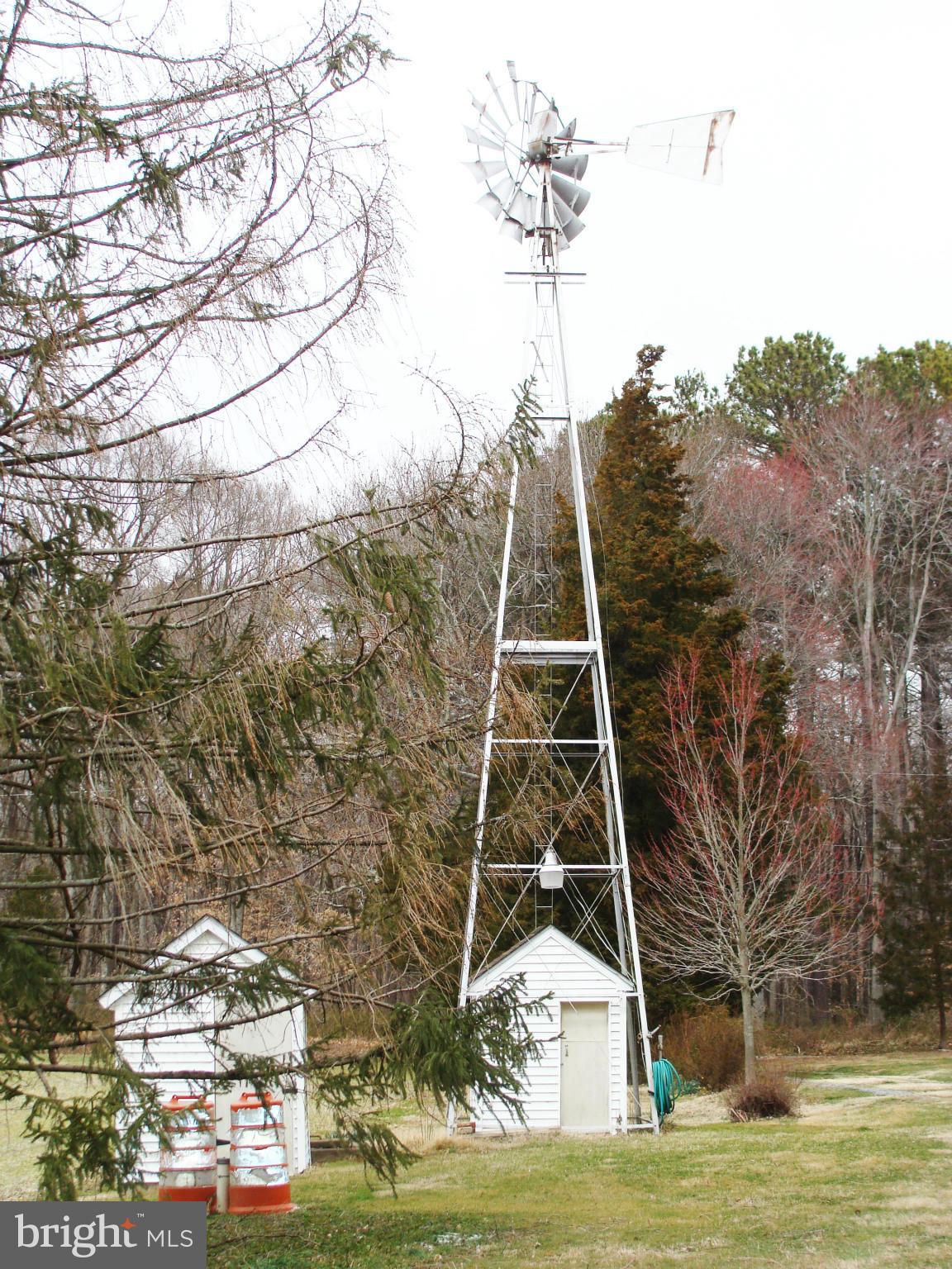 24445 Walnut Point Road Chestertown, MD 21620 - Photo 25 of 27 Windmill awaits turning.