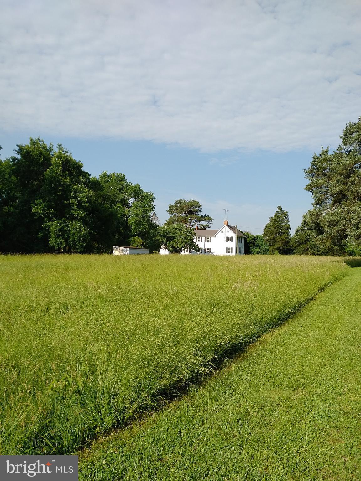 24445 Walnut Point Road Chestertown, MD 21620 - Photo 4 of 27 Surrounded by lush farm land.