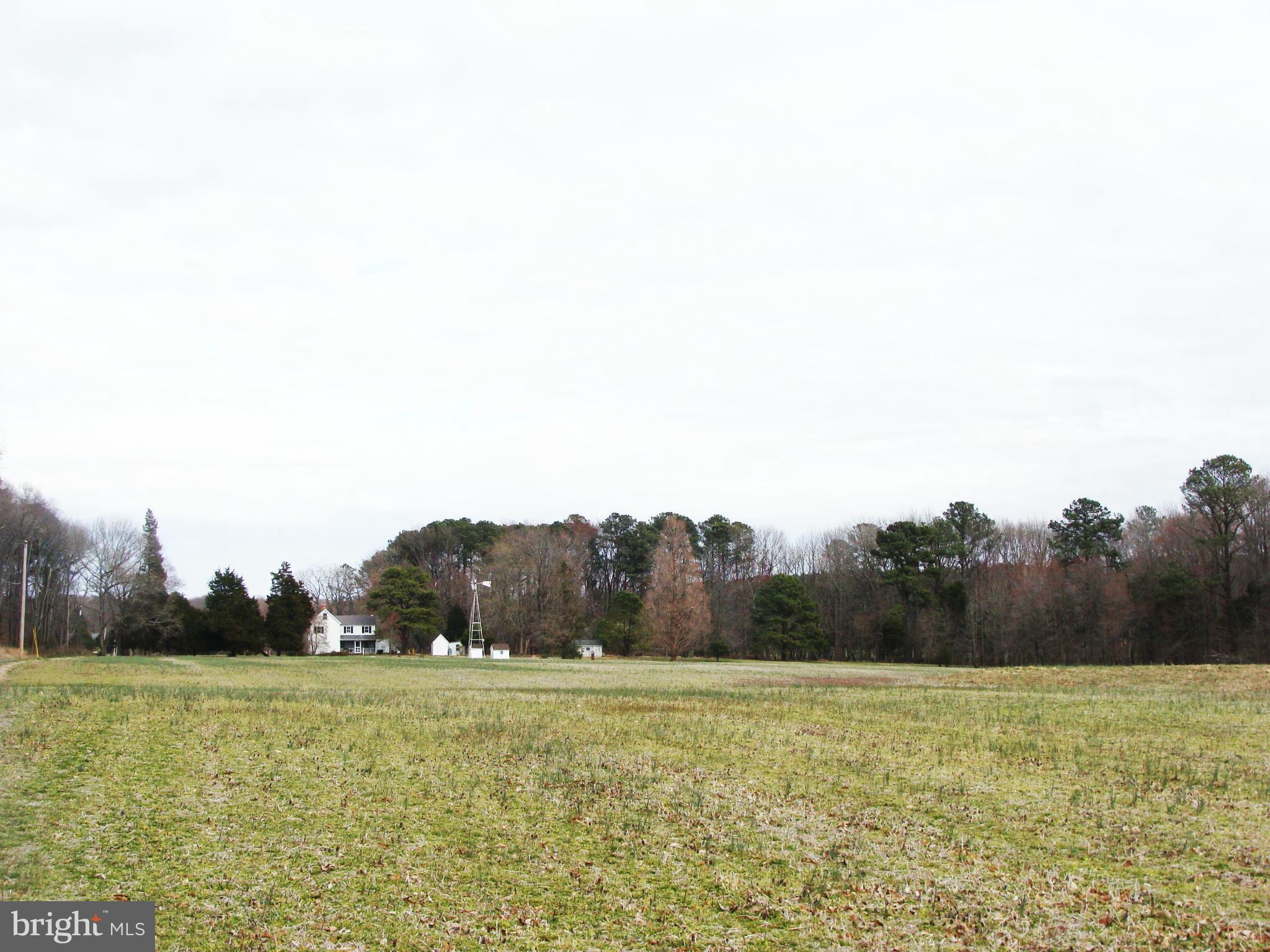 24445 Walnut Point Road Chestertown, MD 21620 - Photo 6 of 27 View