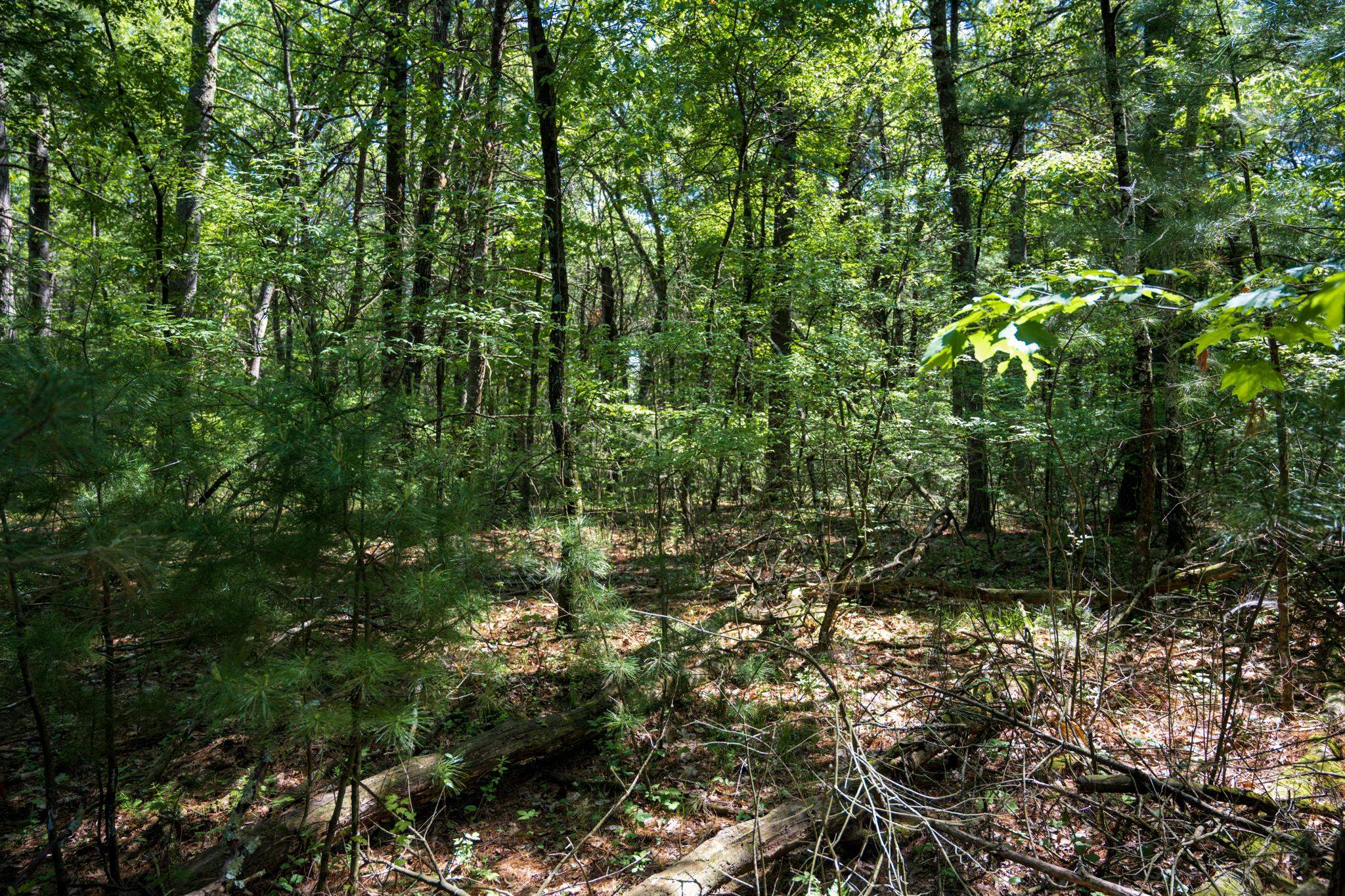 Lot 132 19th Arkdale, WI 54613 - Photo 11 of 27