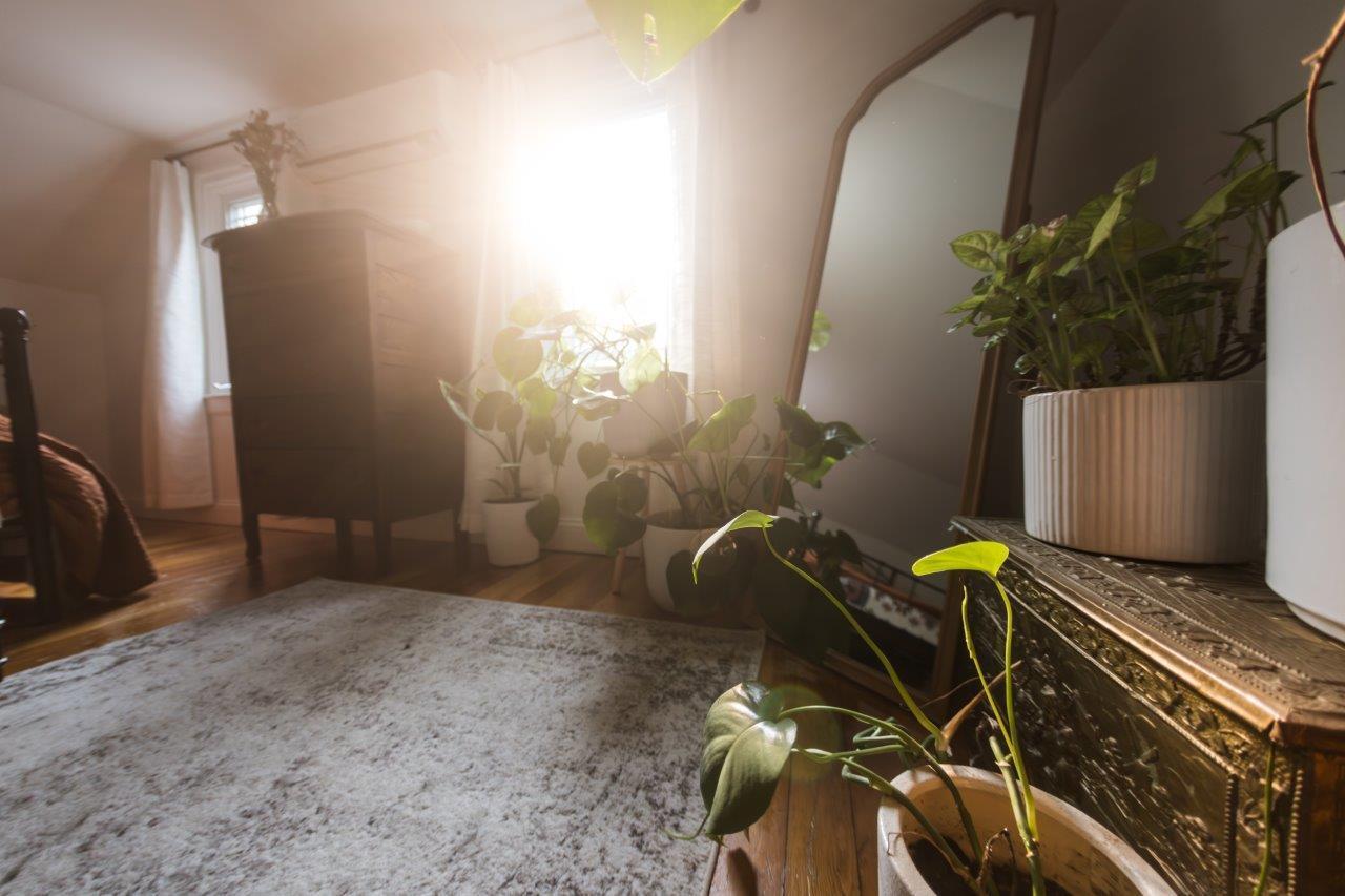 15 Highland Lane Bangor, ME 04401 - Photo 49 of 78 Beautiful Morning Light in Front Bedroom