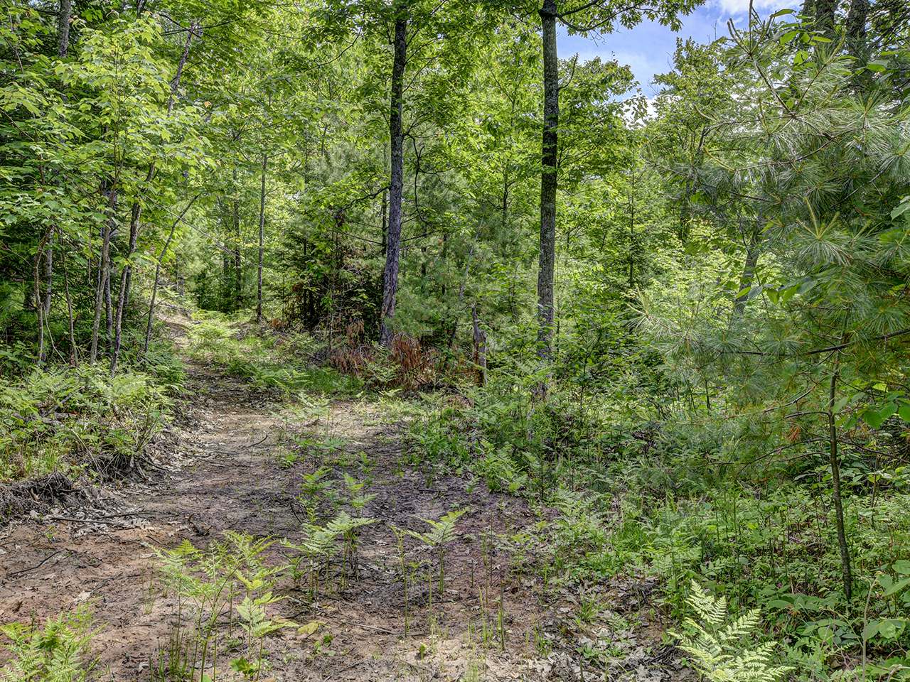 Off Church Road Conover, WI 54519 - Photo 7 of 11 Gallery Image 7