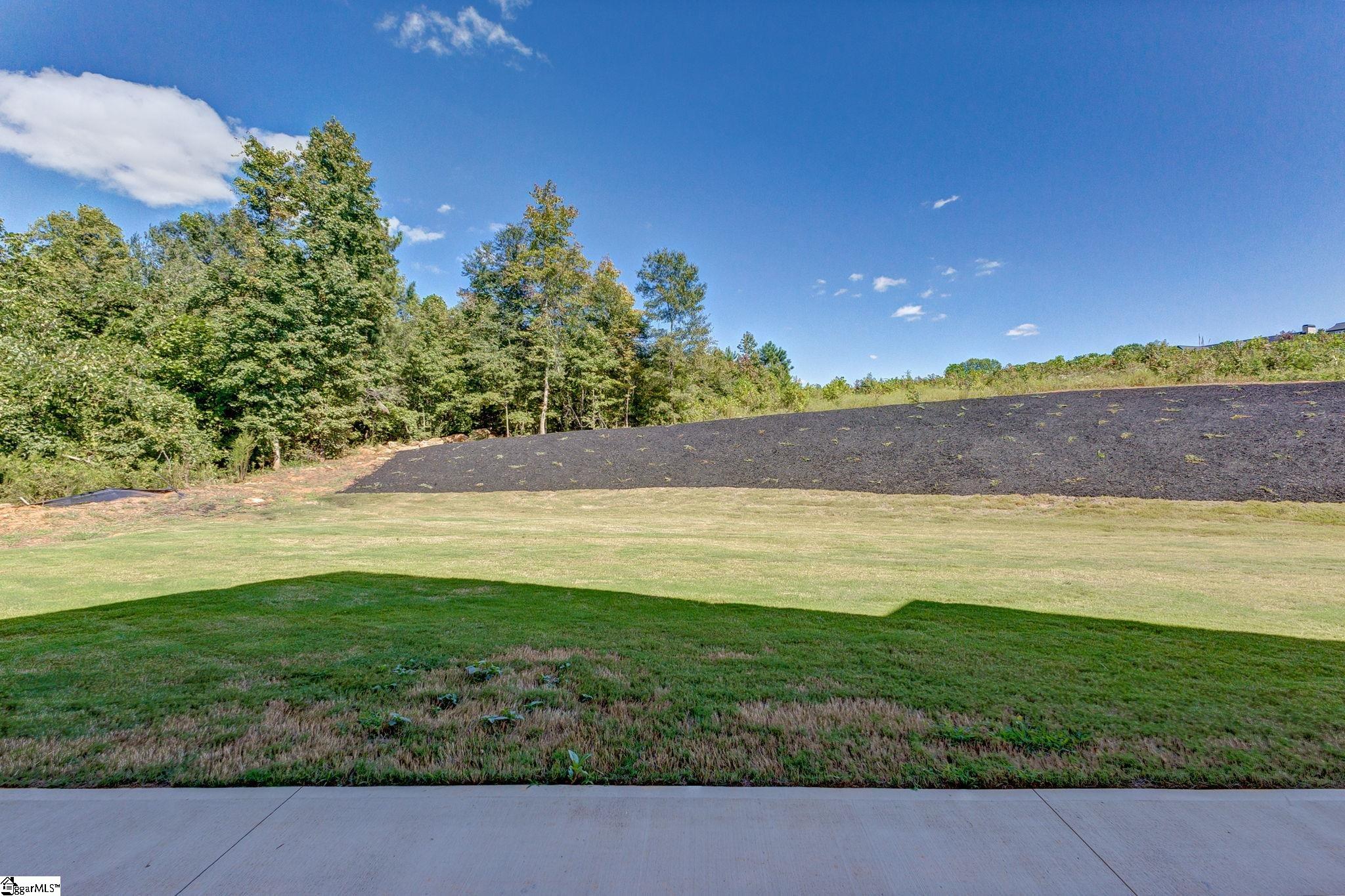 6910 Mountain View Road Taylors, SC 29687 - Photo 43 of 46