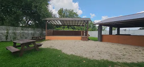a view of a park with large trees