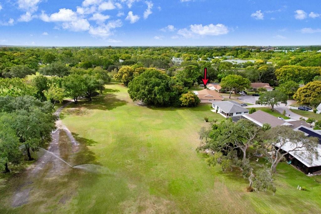 12600 Castleberry Court Bayonet Point, FL 34667 - Photo 14 of 52 a picture of city view