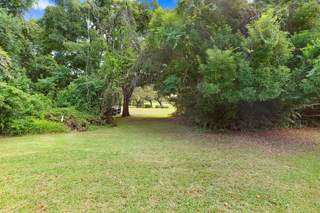 12600 Castleberry Court Bayonet Point, FL 34667 - Photo 42 of 52 a view of a yard with a tree