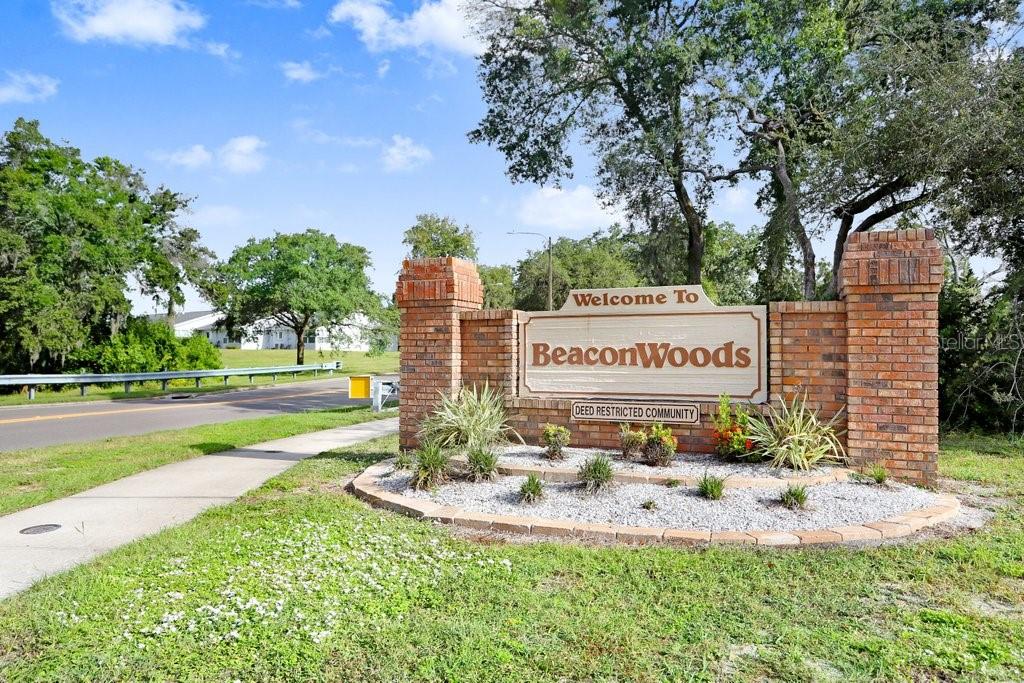 12600 Castleberry Court Bayonet Point, FL 34667 - Photo 43 of 52 a view of a park with large trees