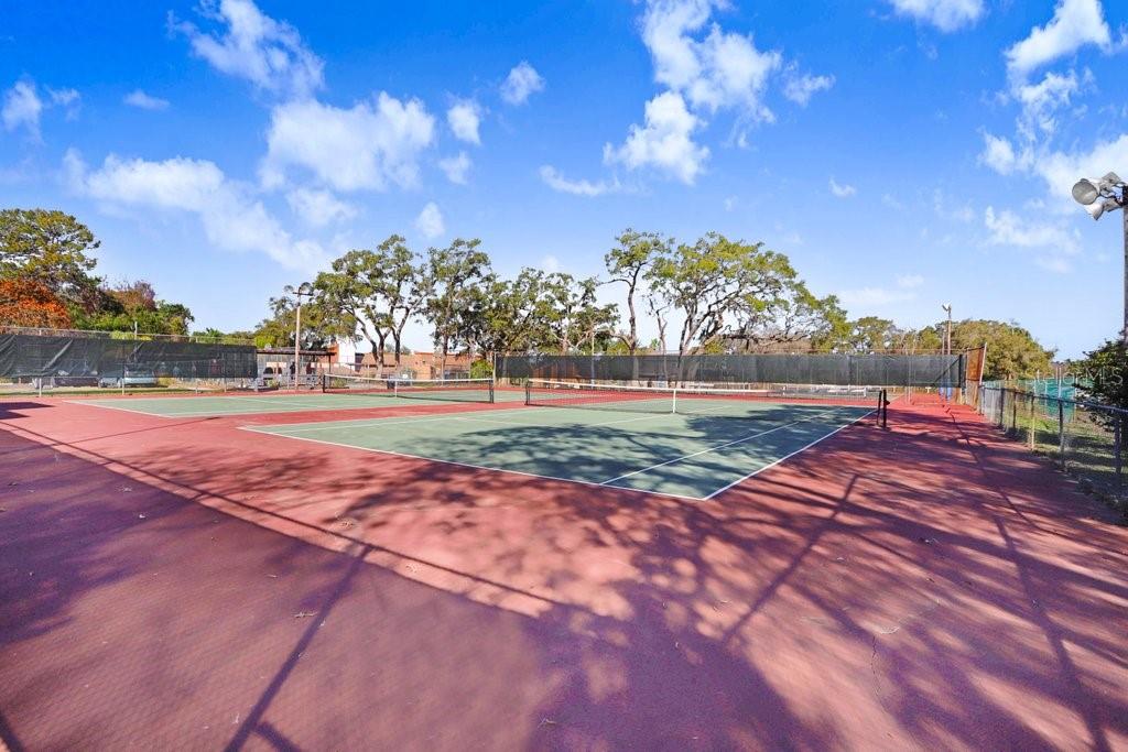 12600 Castleberry Court Bayonet Point, FL 34667 - Photo 47 of 52 a view of a yard