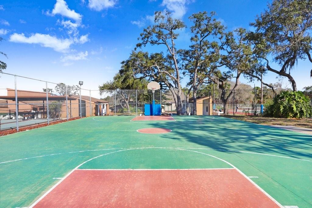 12600 Castleberry Court Bayonet Point, FL 34667 - Photo 48 of 52 a view of a park with large trees