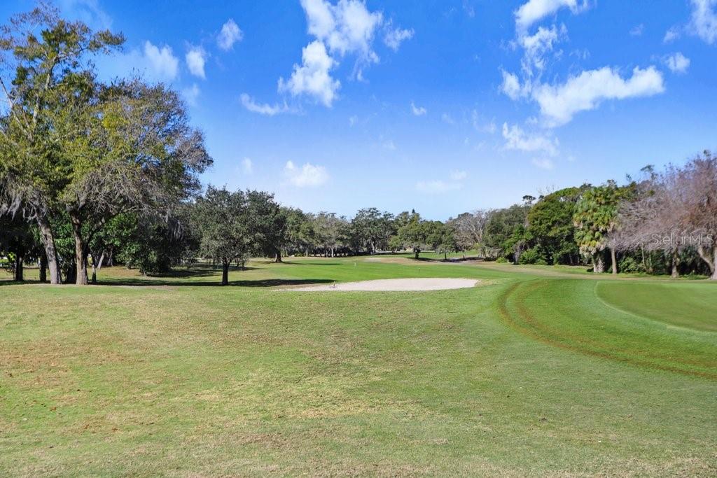 12600 Castleberry Court Bayonet Point, FL 34667 - Photo 52 of 52 a view of a golf course with a lake