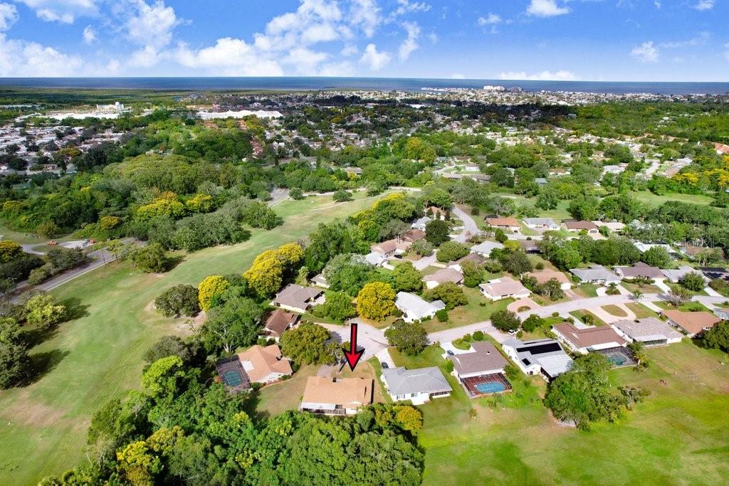 12600 Castleberry Court Bayonet Point, FL 34667 - Photo 8 of 52 a view of a garden