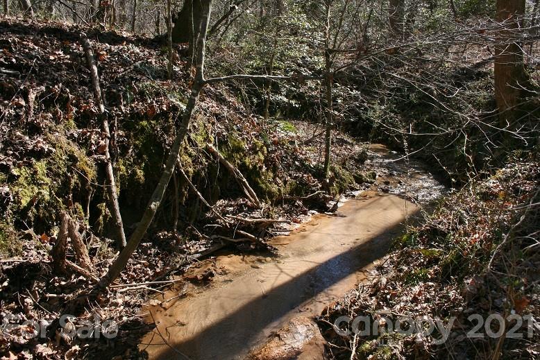 428 Elliott Rd Extension Rutherfordton, NC 28139 - Photo 3 of 41 a view of a forest with a tree