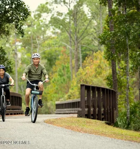 $374,990 | 5047 Meadow Buttercup Court, Leland, NC 28479