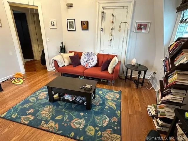 a living room with furniture and a rug