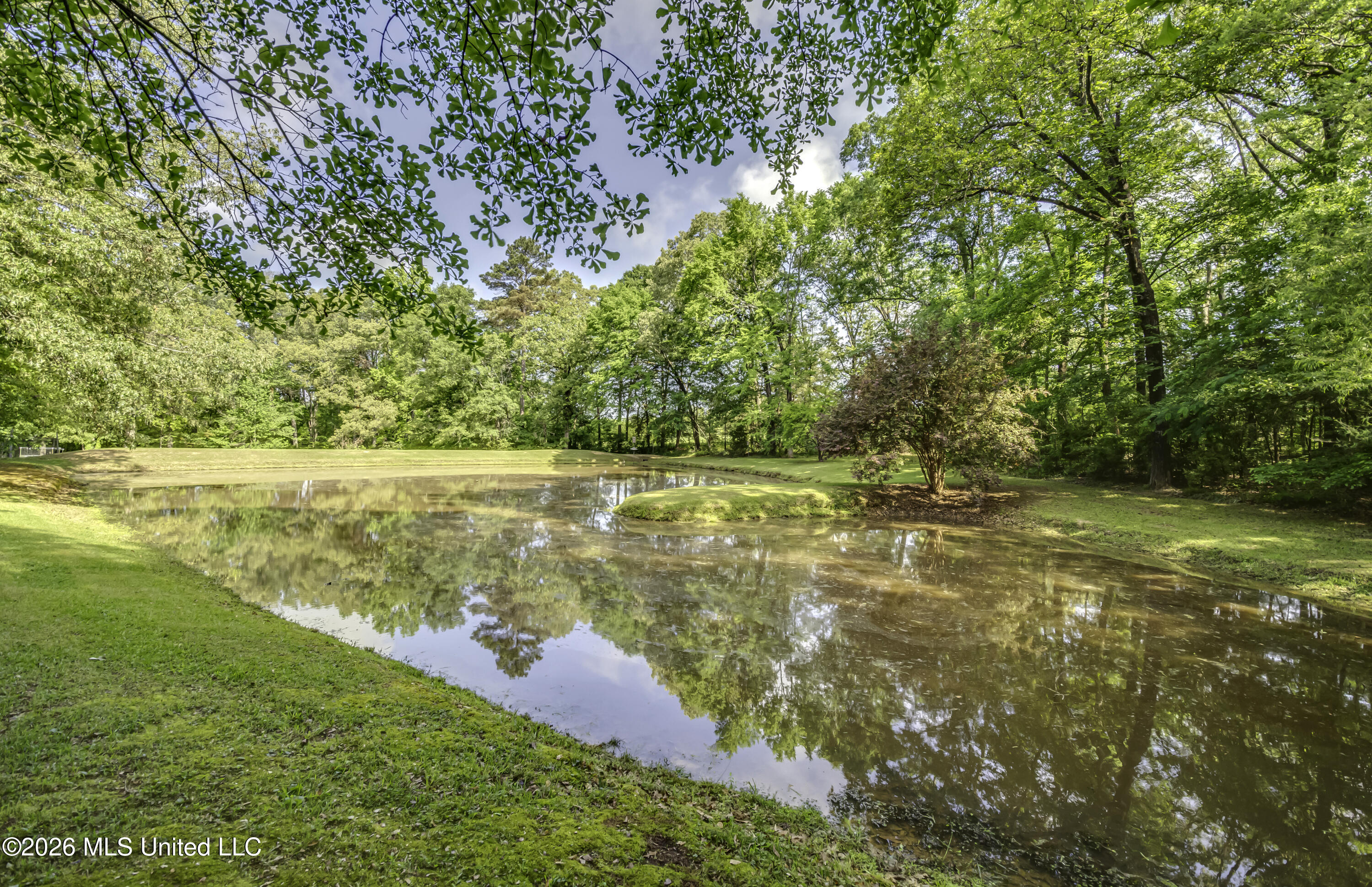 1380 Kimbell Road Terry, MS 39170 - Photo 79 of 81 1380 Kimbell Rd--19