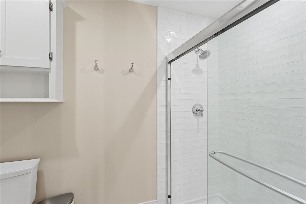 2250 Lisson Road Naperville, IL 60565 - Photo 36 of 53 a bathroom with a shower and a toilet