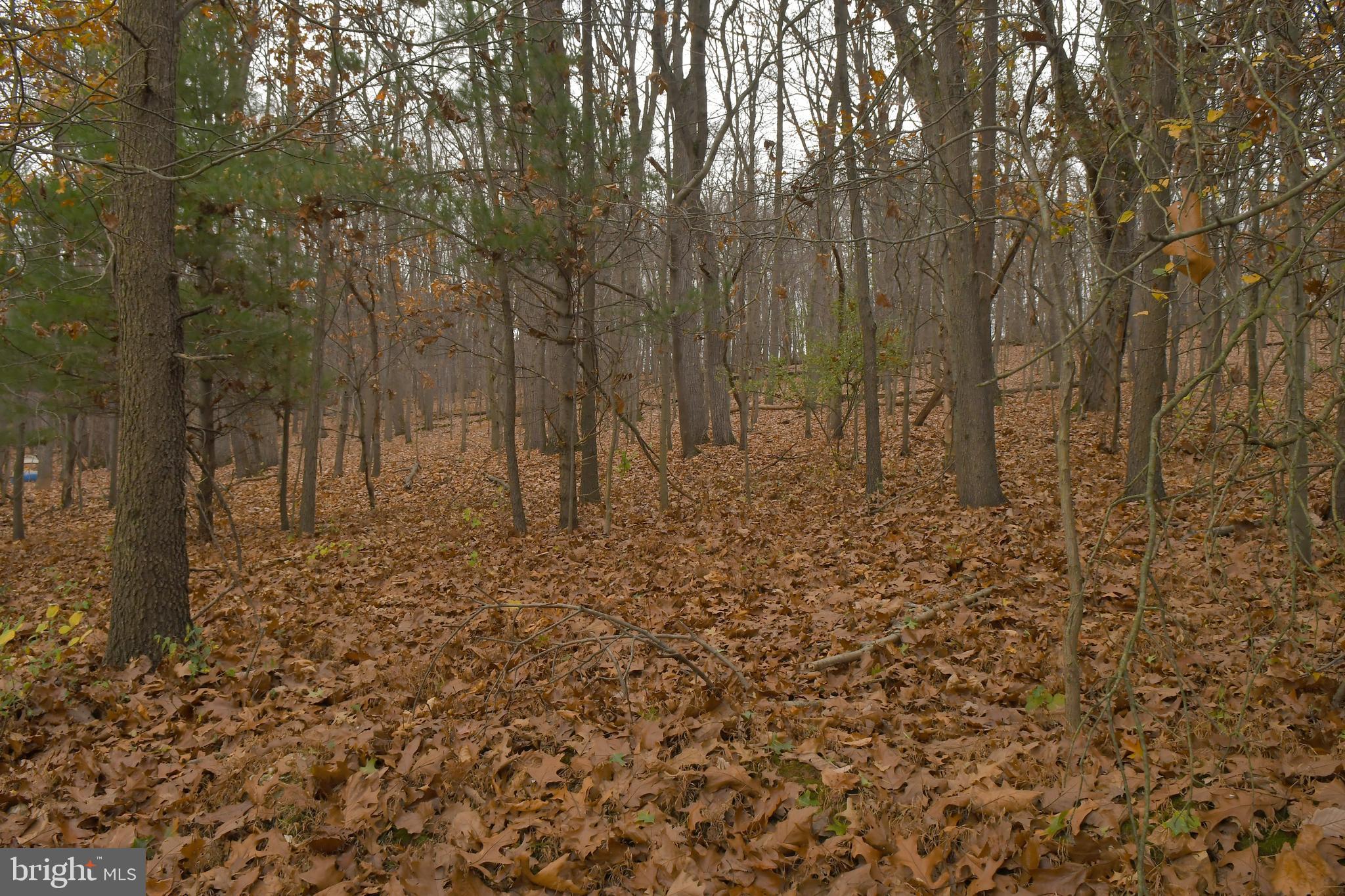 7366 Simpson Road Glen Rock, PA 17327 - Photo 18 of 44 Gallery Image 18