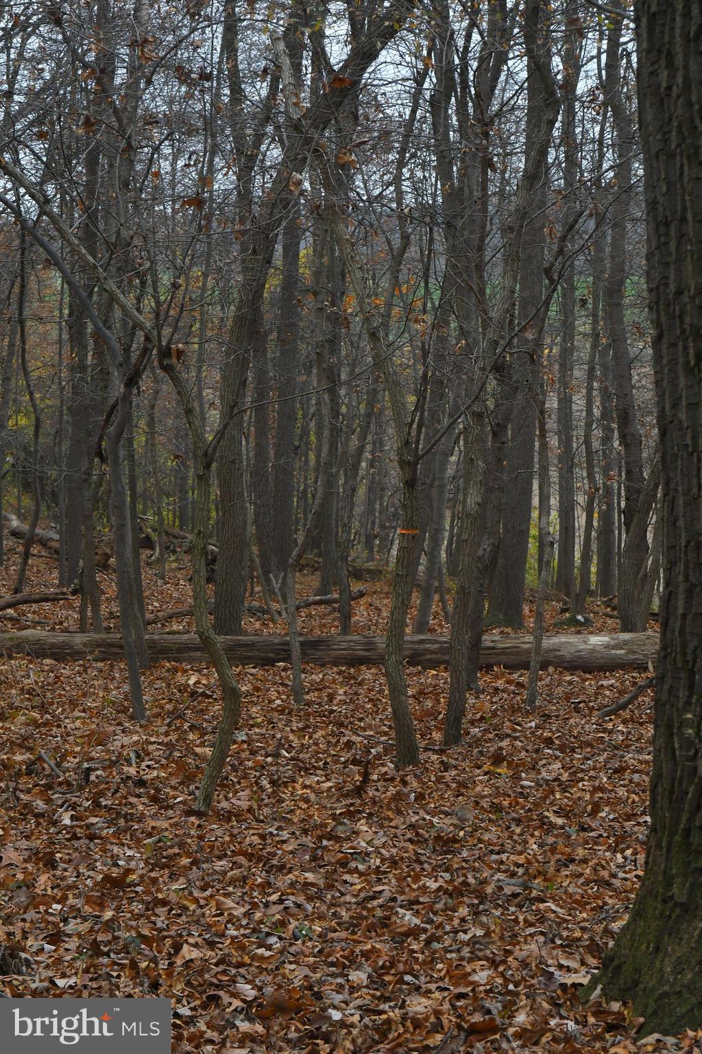 7366 Simpson Road Glen Rock, PA 17327 - Photo 25 of 44 Gallery Image 25