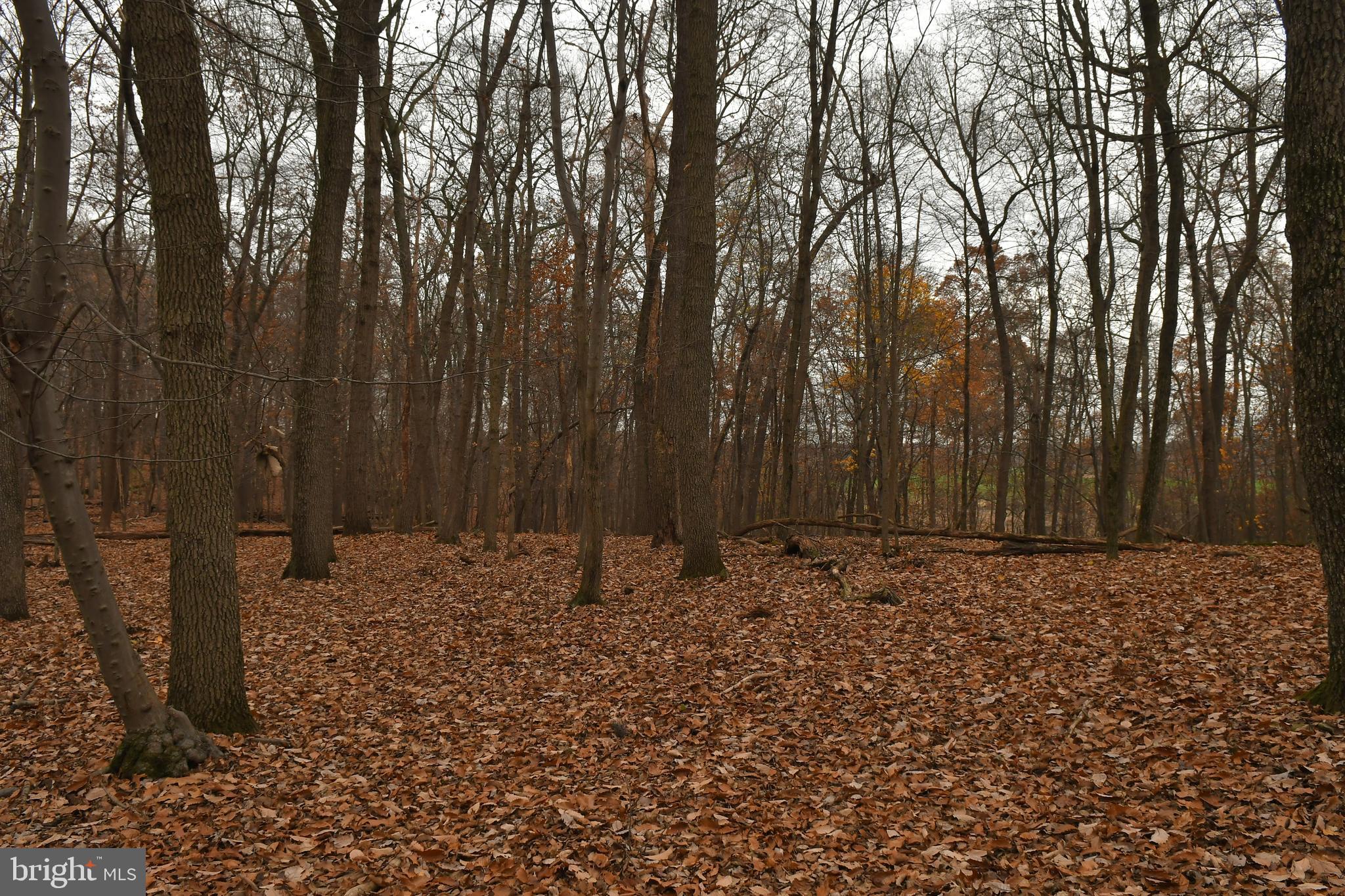 7366 Simpson Road Glen Rock, PA 17327 - Photo 29 of 44 Gallery Image 29