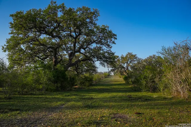 $2,925,000 | 8440 Highway 239, Goliad, TX 77963