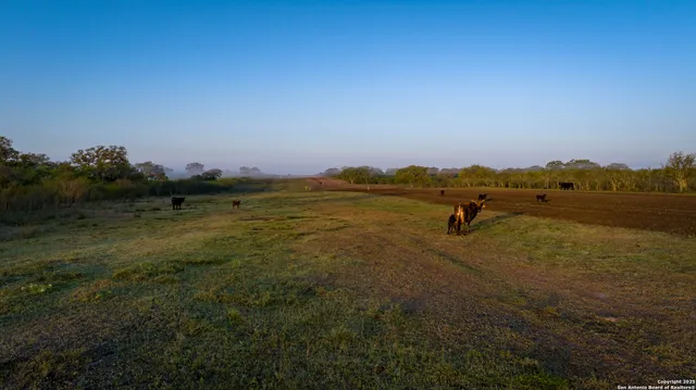 $2,925,000 | 8440 Highway 239, Goliad, TX 77963