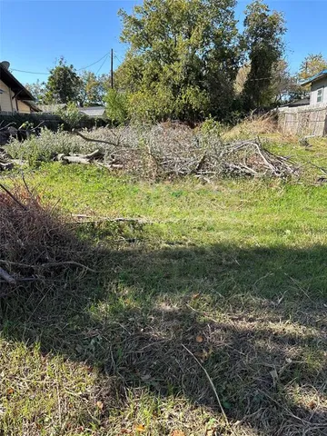 a view of a yard with plants and a bench