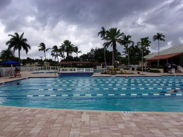 1564 Sunset Way Weston, FL 33327 - Photo 23 of 40 a palm tree sitting in front of a yard
