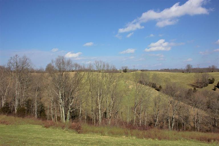1750 Lincoln Ridge Road Williamstown, KY 41097 - Photo 29 of 30 Gallery Image 29