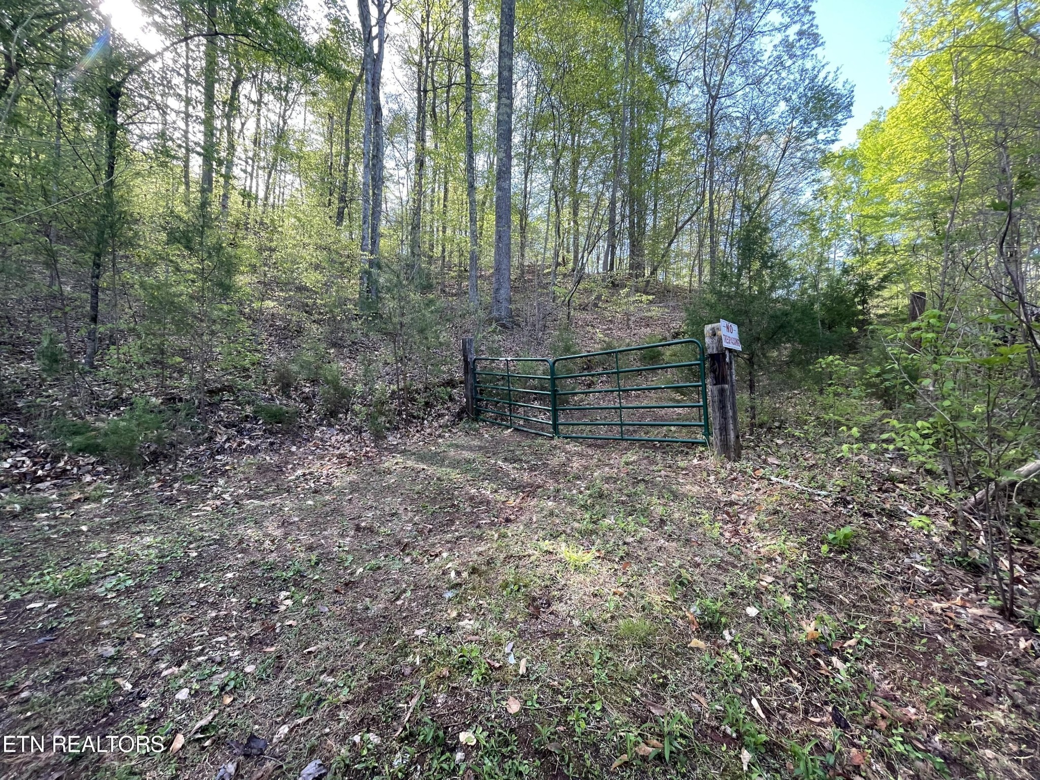 494 Anderson Road Sweetwater, TN 37874 - Photo 11 of 59 Gallery Image 11