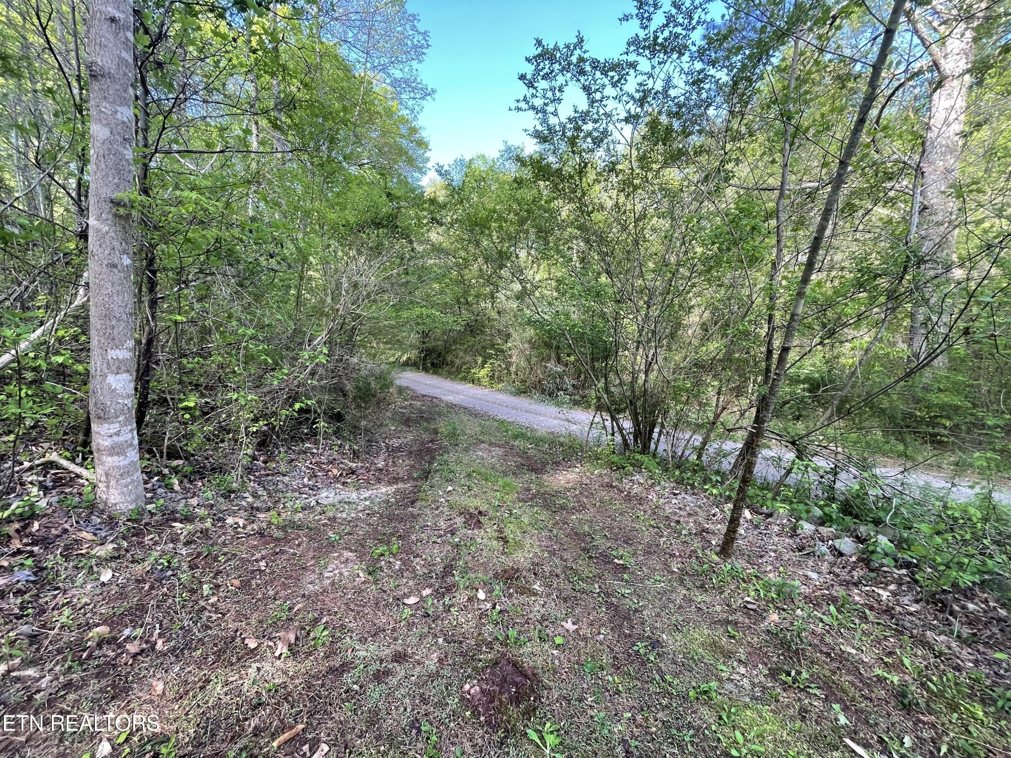 494 Anderson Road Sweetwater, TN 37874 - Photo 12 of 59 Gallery Image 12