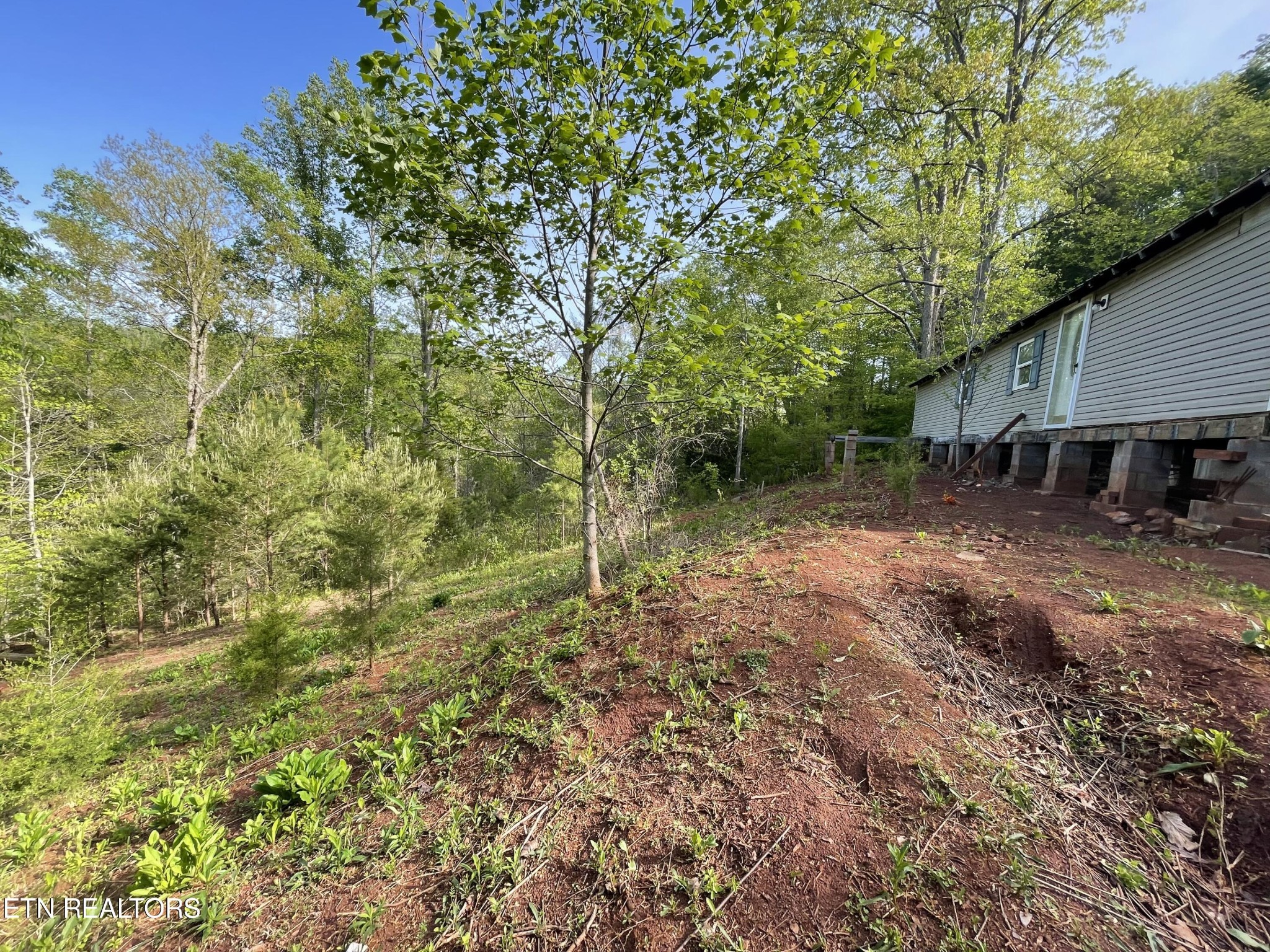 494 Anderson Road Sweetwater, TN 37874 - Photo 2 of 59 Gallery Image 2
