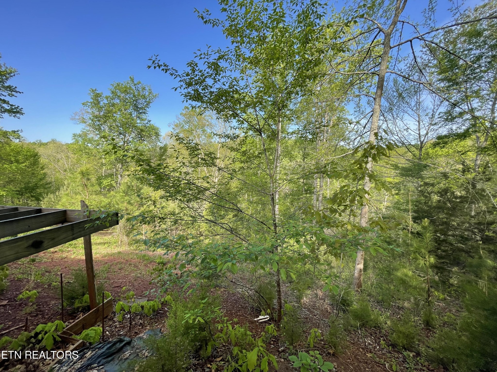 494 Anderson Road Sweetwater, TN 37874 - Photo 28 of 59 Gallery Image 28