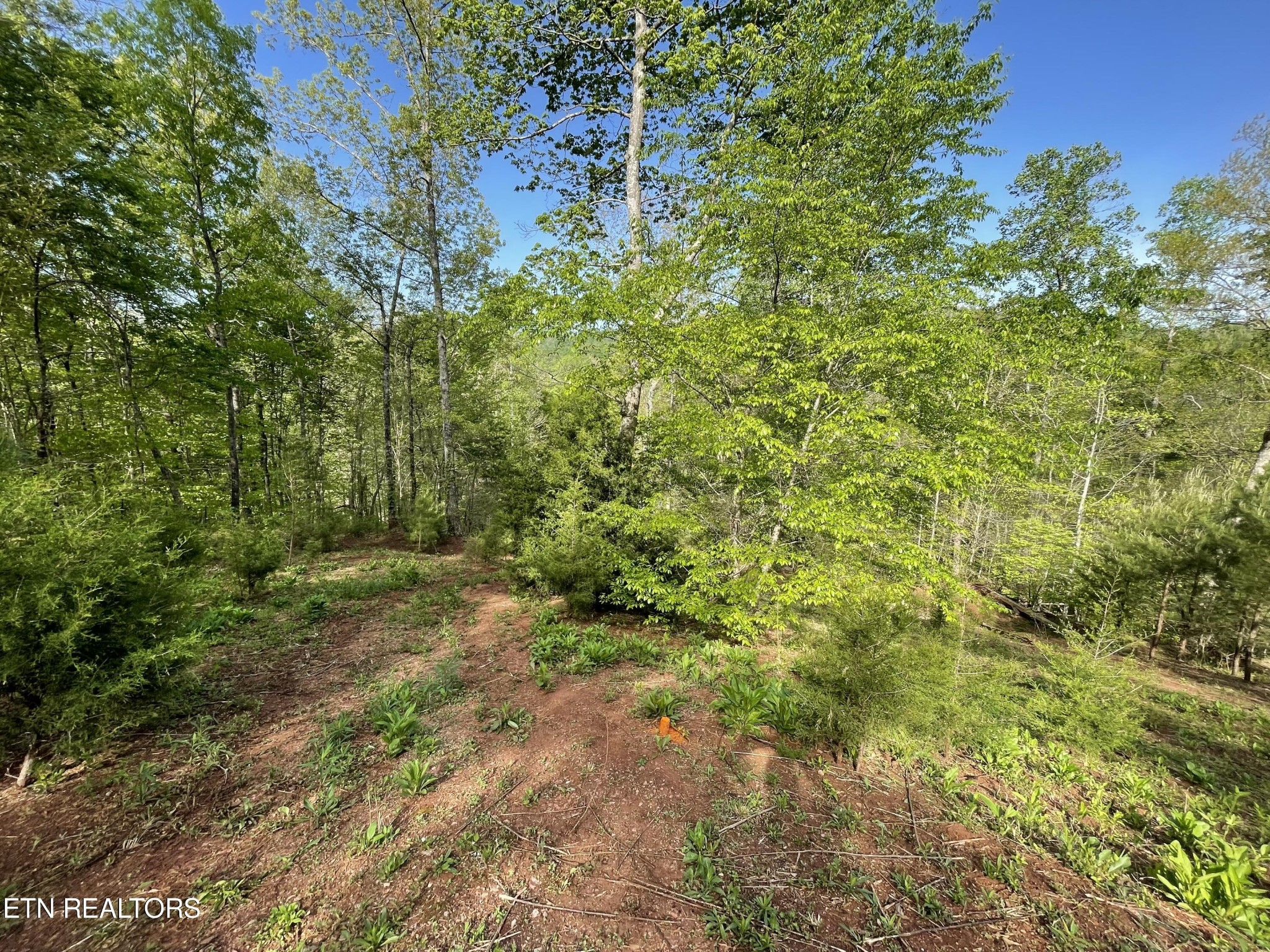 494 Anderson Road Sweetwater, TN 37874 - Photo 3 of 59 Gallery Image 3
