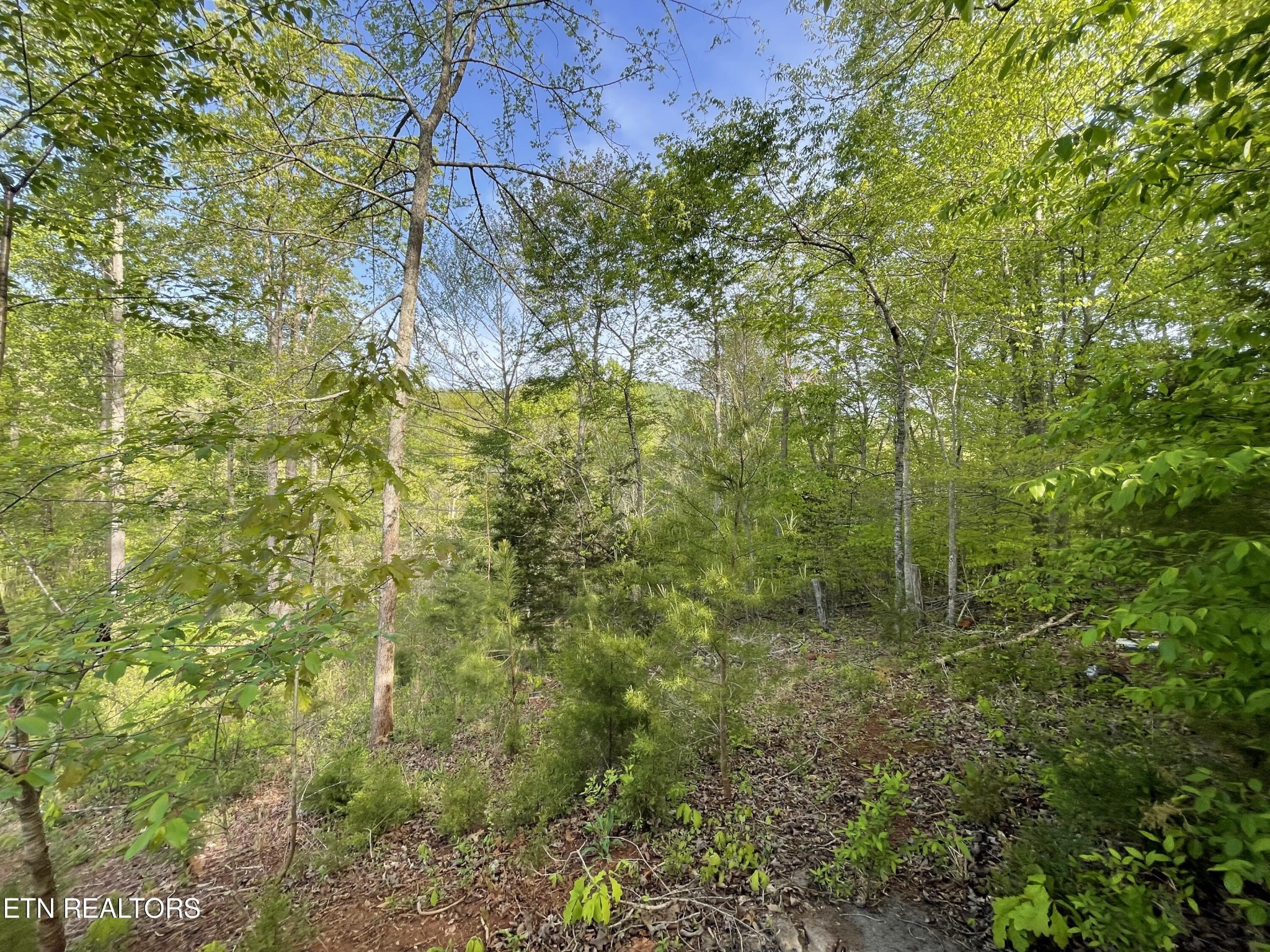 494 Anderson Road Sweetwater, TN 37874 - Photo 32 of 59 Gallery Image 32