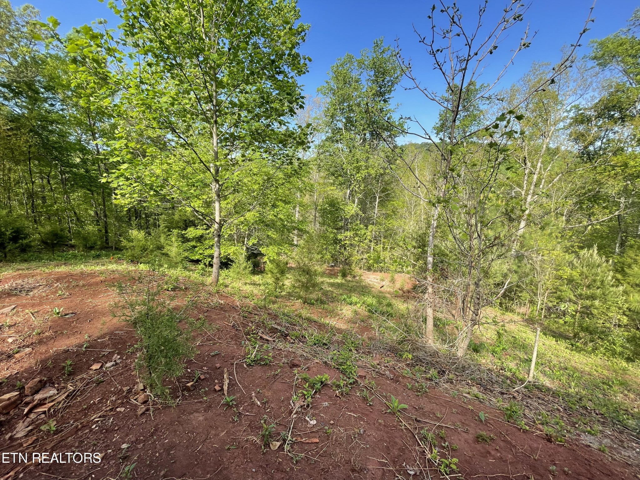 494 Anderson Road Sweetwater, TN 37874 - Photo 35 of 59 Gallery Image 35