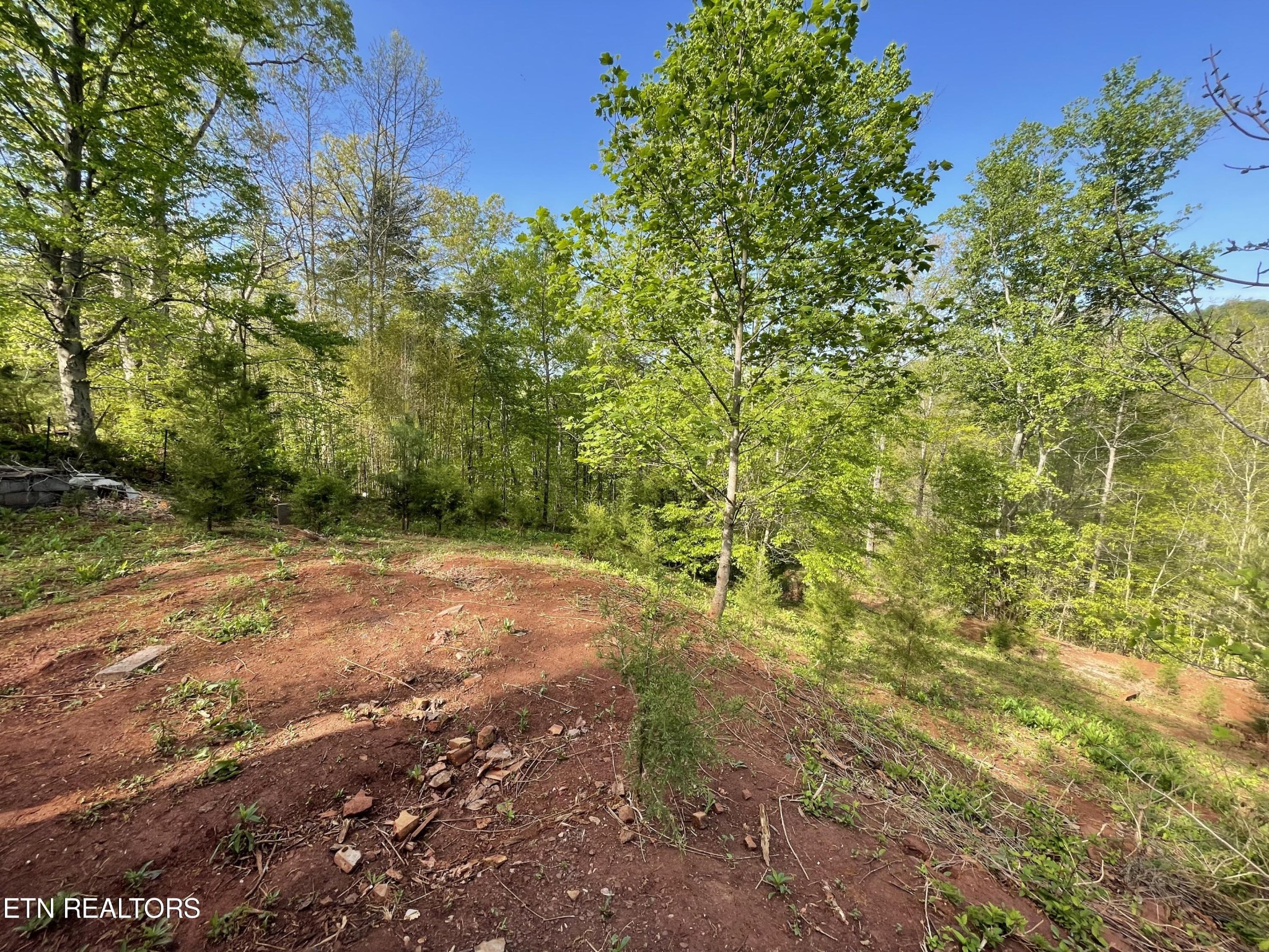 494 Anderson Road Sweetwater, TN 37874 - Photo 36 of 59 Gallery Image 36