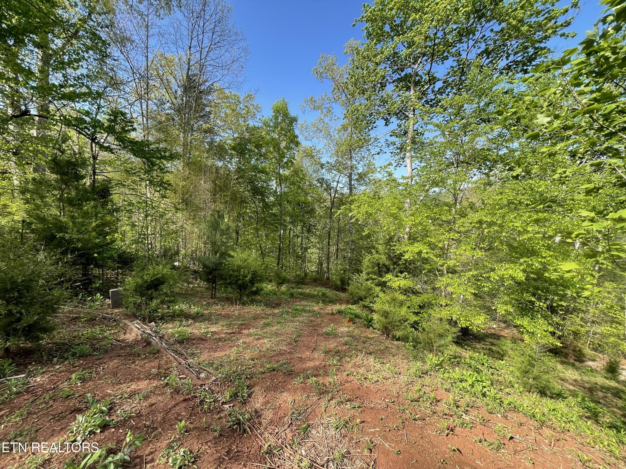 494 Anderson Road Sweetwater, TN 37874 - Photo 40 of 59 Gallery Image 40