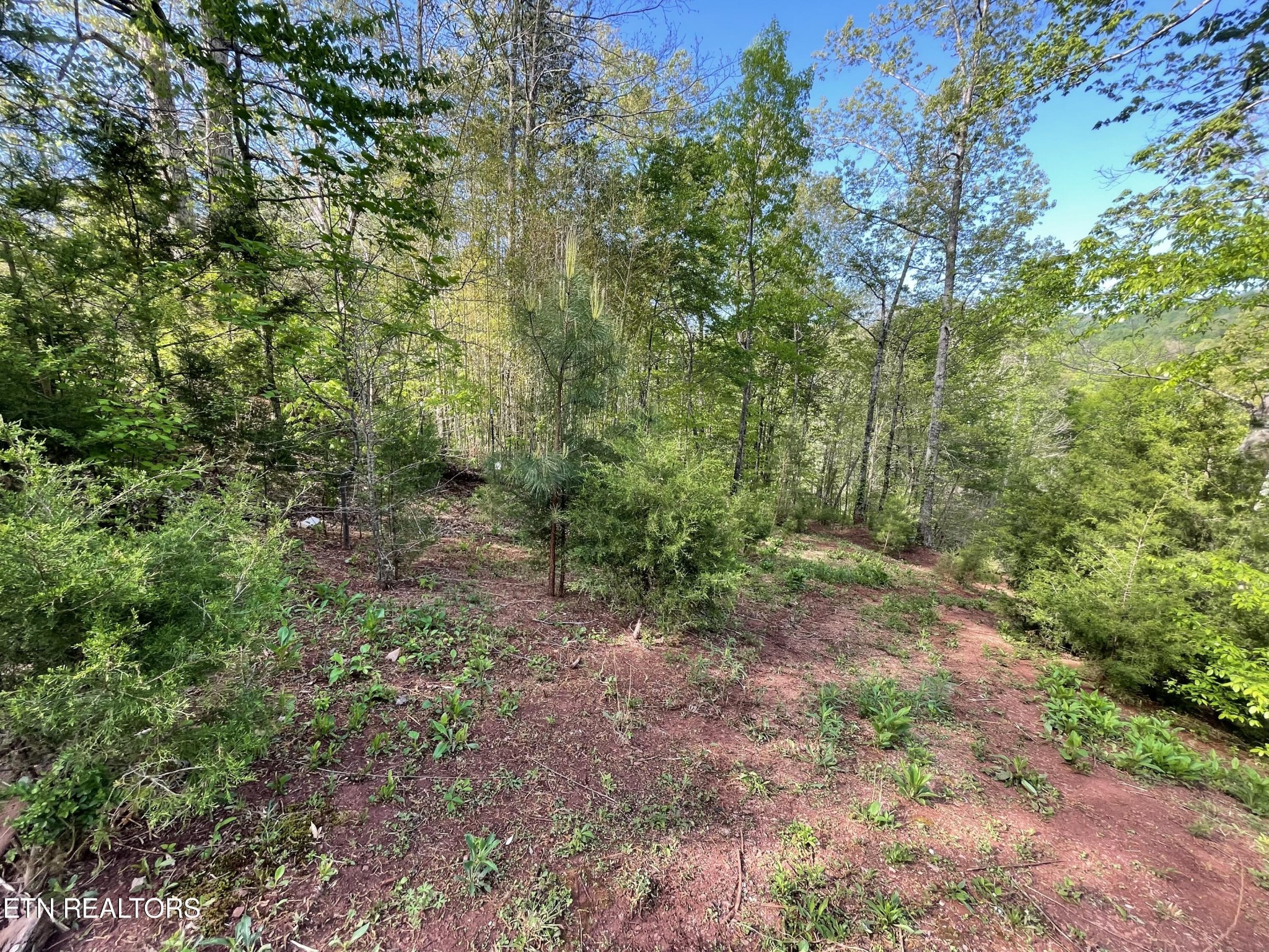 494 Anderson Road Sweetwater, TN 37874 - Photo 4 of 59 Gallery Image 4