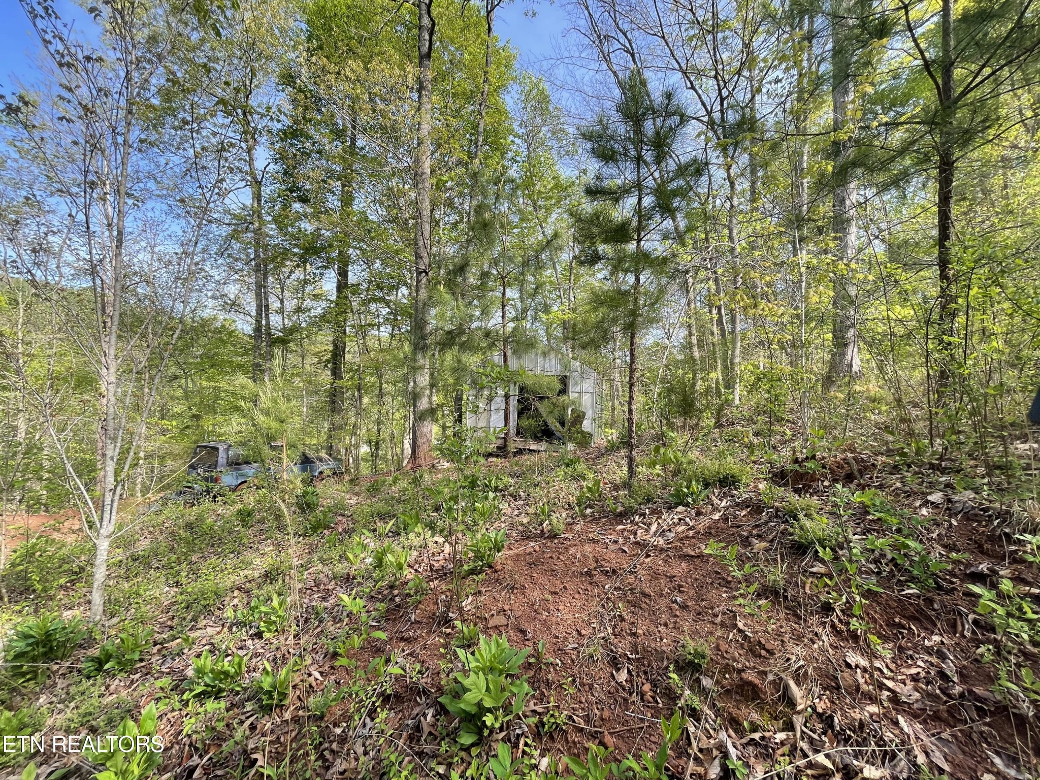 494 Anderson Road Sweetwater, TN 37874 - Photo 42 of 59 Gallery Image 42