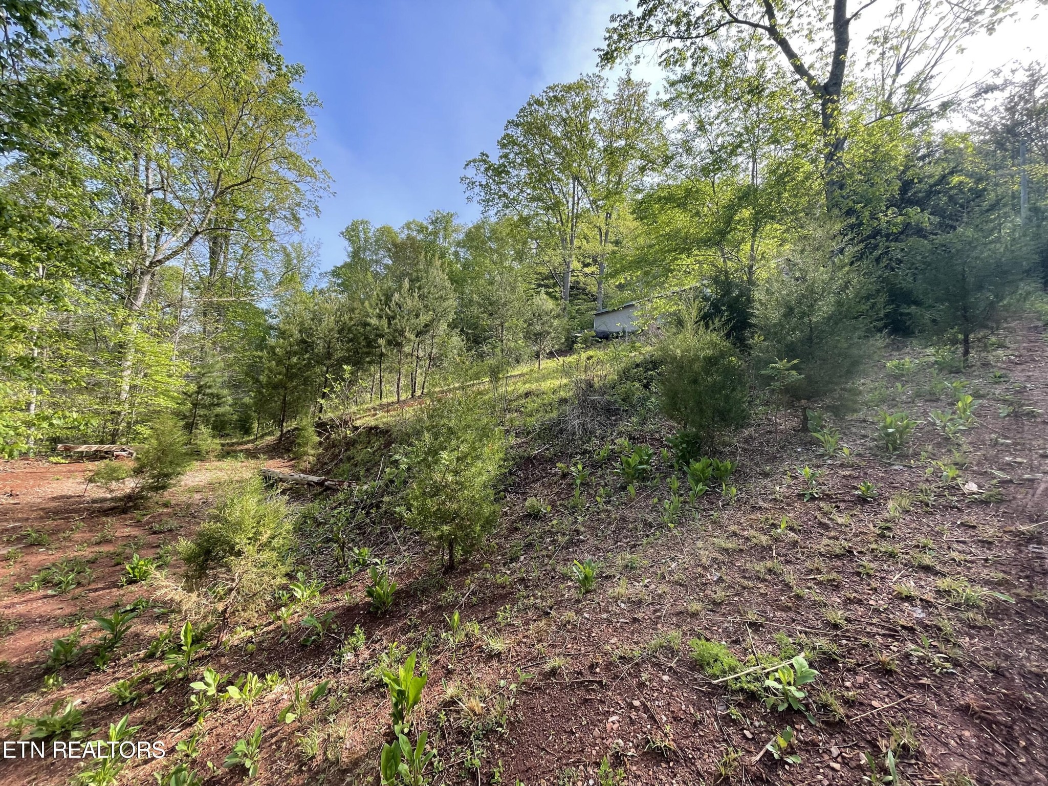 494 Anderson Road Sweetwater, TN 37874 - Photo 44 of 59 Gallery Image 44