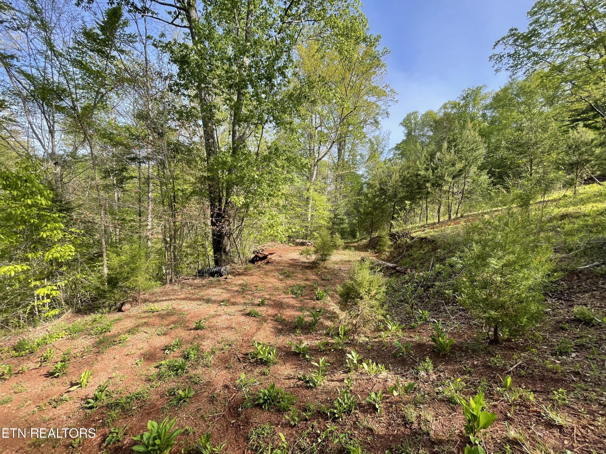 494 Anderson Road Sweetwater, TN 37874 - Photo 45 of 59 Gallery Image 45